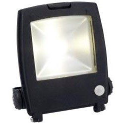 --DISCONTINUED-- Ansell Mira 30w LED Floodlight with Motion Sensor PIR