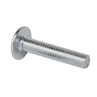 M6x10 Stainless Steel Roofing Bolts (304 Grade) 100 Pack